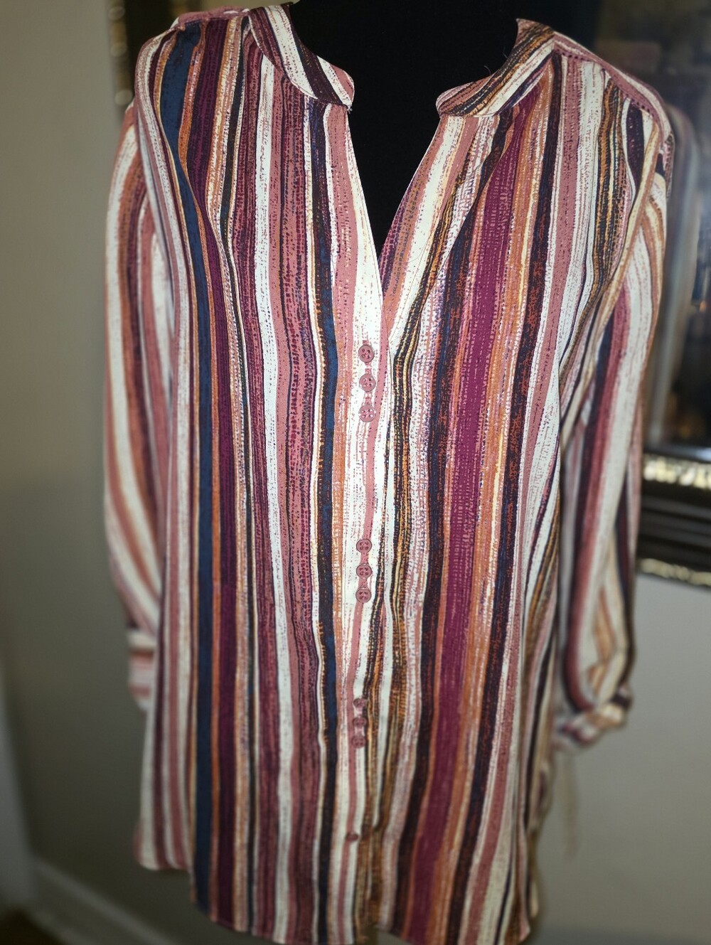 Zac & Rachel Striped Multi-Color Long Sleeve Woman's Blouse